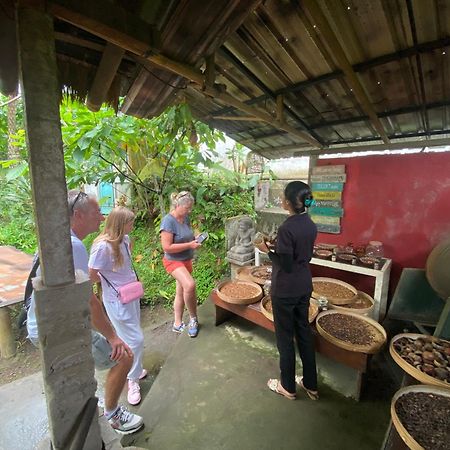 Badini Homestay Pemuteran Екстериор снимка